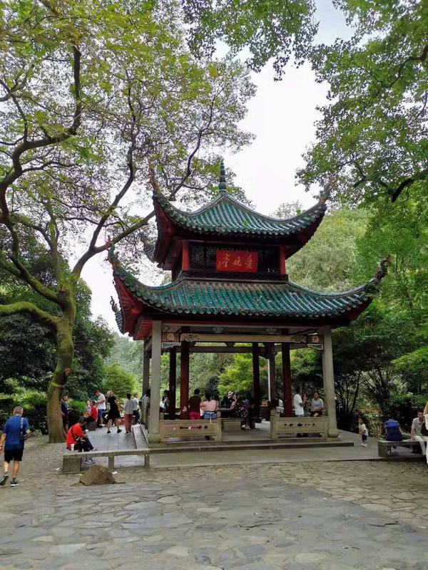 ��´ɽ�_�����W(w��ng)�j(lu��)�������W(w��ng)վʮ������������´ɽ��ӛ