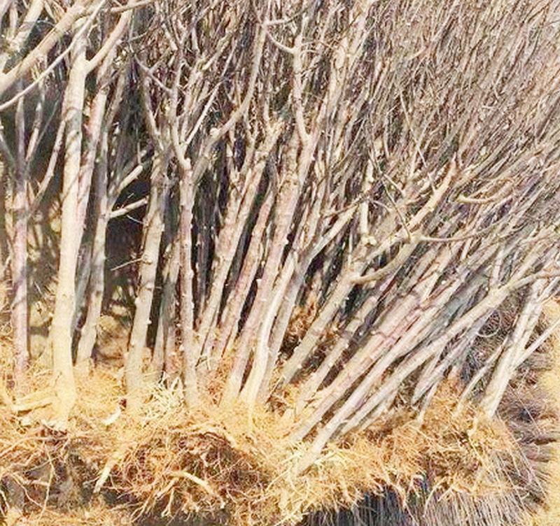 �ɹ����� �����Ҹ�����_�O���L����һ̖_�����O����_�Ϸ��O���� �W(w��ng)վ�OӋ��ͬ